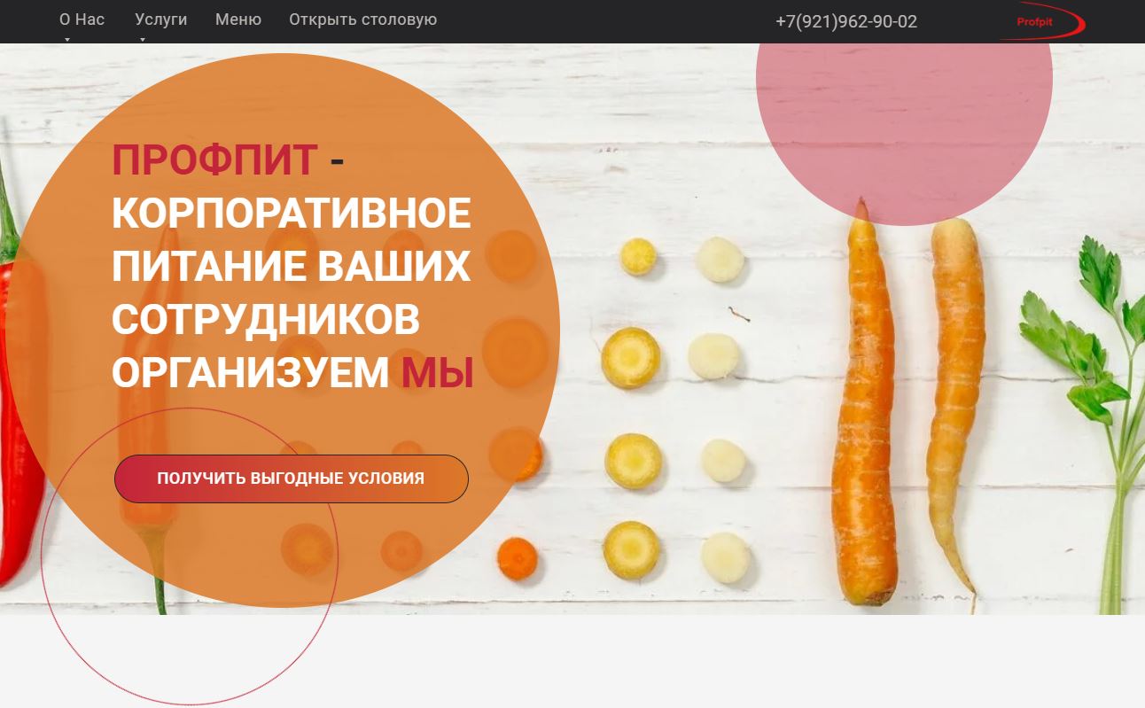 Профпит